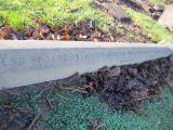 image of grave number 364868